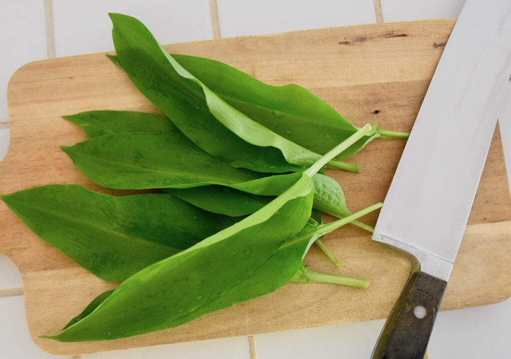 Ramson leaves